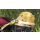 Xenoblade Chronicles: Definitive Edition Nintendo Switch - 553372 - zdjęcie 2